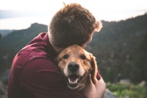 Types of Emotional Support Dogs – 11 Remarkable Breeds