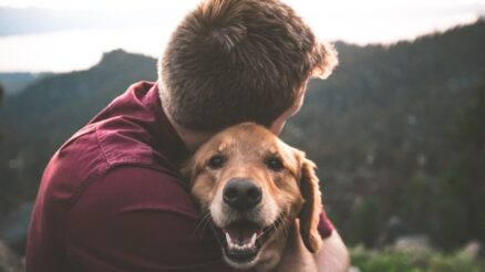 Types of Emotional Support Dogs – 11 Remarkable Breeds