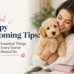 Helpful Puppy Grooming Tips: 9 Essential Things Every Owner Should Do