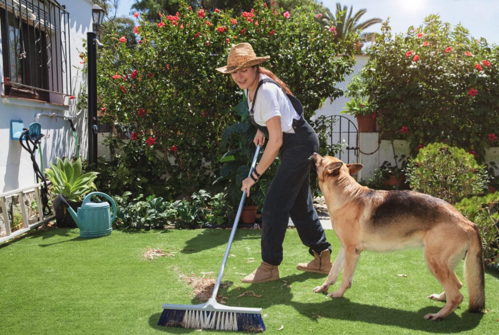 Clean up your yard to make it unattractive to dogs