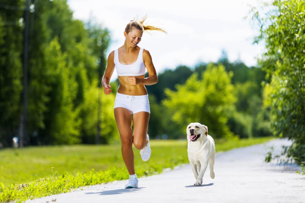 Give your dog plenty of exercise to burn off excess energy