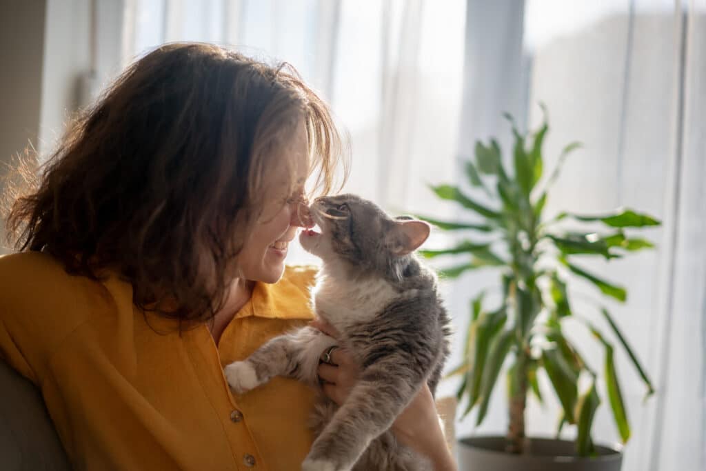 Why does my cat lick me