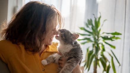 Why does my cat lick me then attack me? 5 top reasons