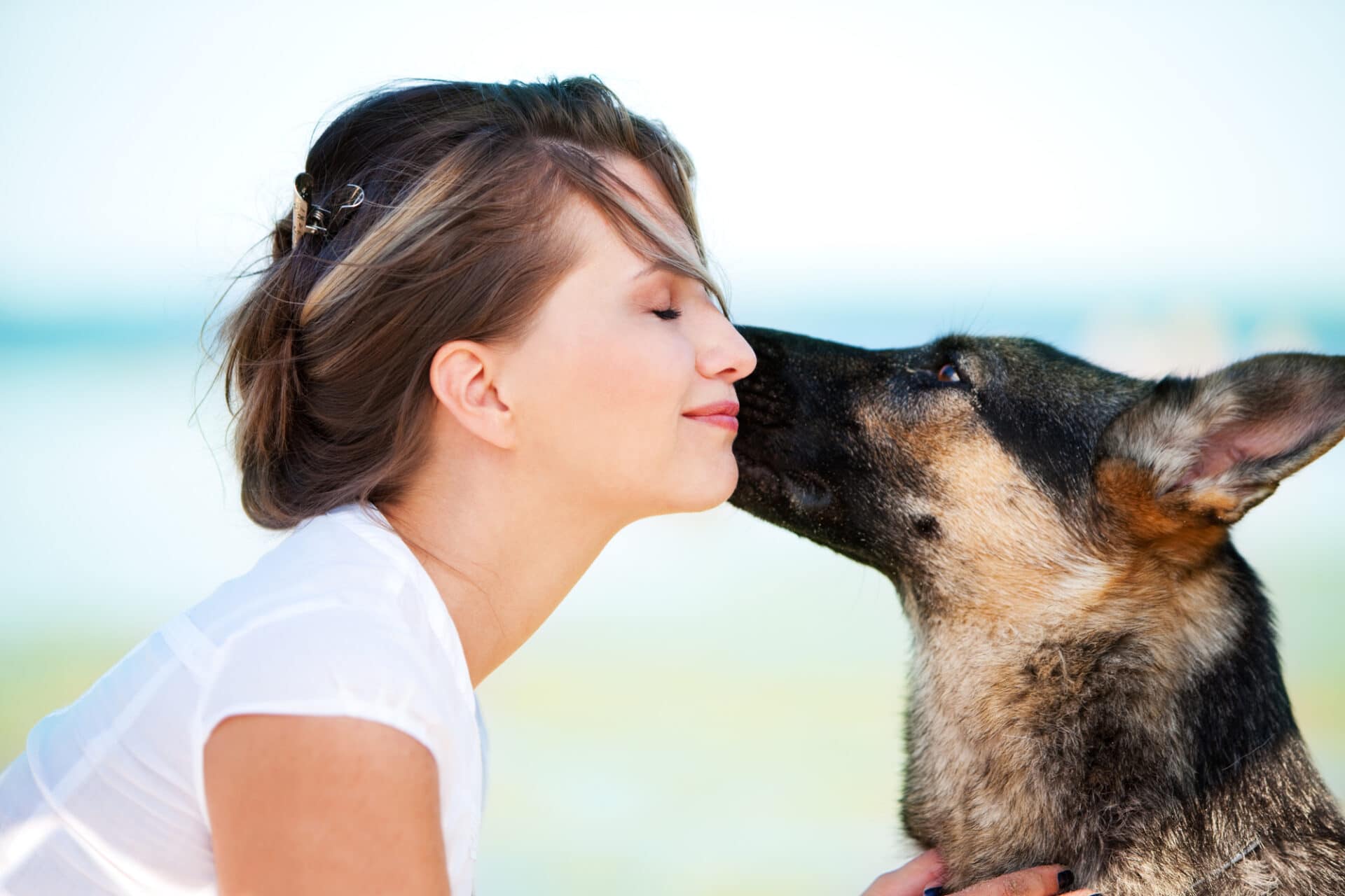 What does it mean when a dog licks your face