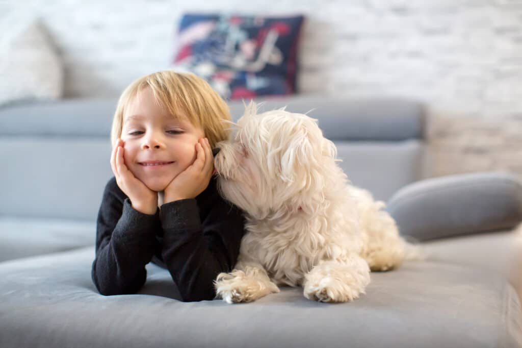 Best apartments for dogs