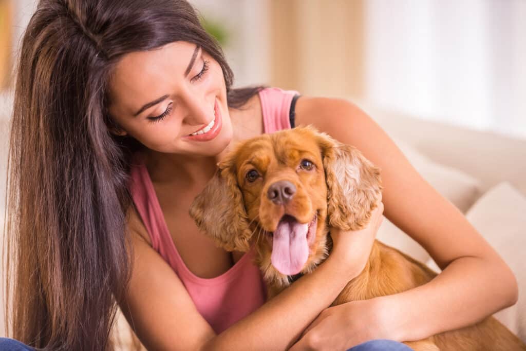 Small dog relaxing comfortably with pet parent on a couch in an apartment.