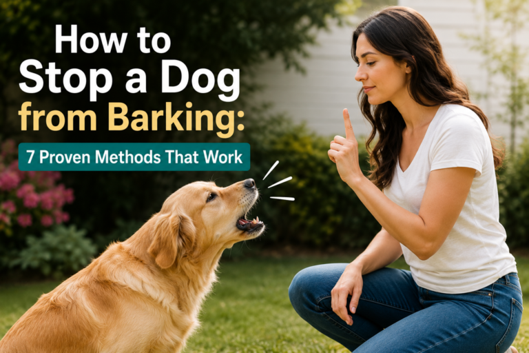 How to Stop a Dog from Barking