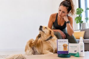 Flea Treatment for Dogs: The Complete Proven Guide to Every Option