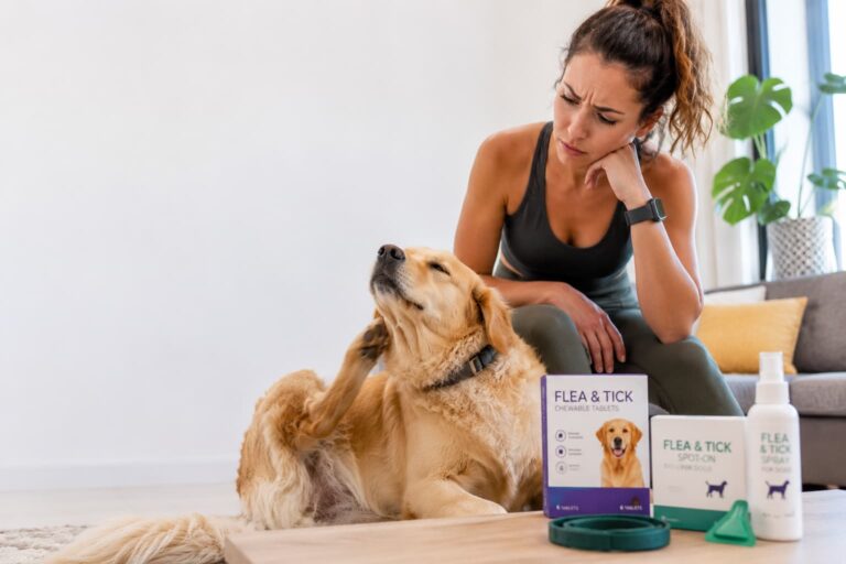 Flea Treatment for Dogs