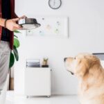 Why Is My Dog Not Eating? 9 Real Causes and What to Do